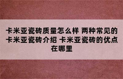 卡米亚瓷砖质量怎么样 两种常见的卡米亚瓷砖介绍 卡米亚瓷砖的优点在哪里